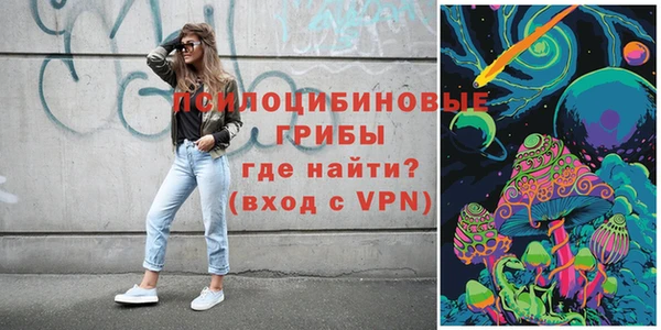 ешки Абинск