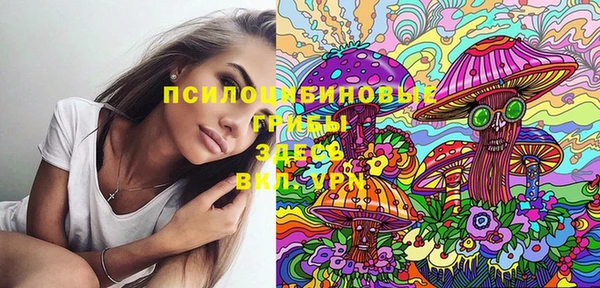 шишки Абдулино