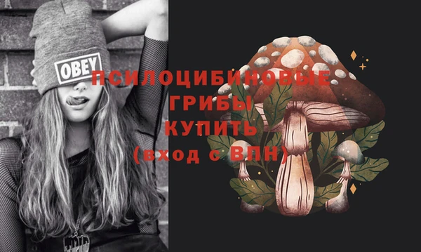 ешки Абинск