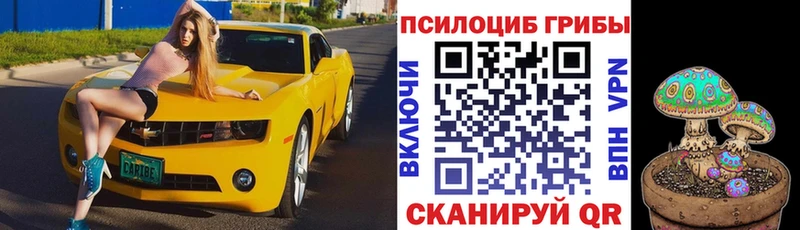 Галлюциногенные грибы MAGIC MUSHROOMS  ОМГ ОМГ зеркало  Правдинск 